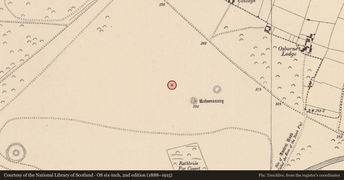 Ordnance Survey six-inch map, 2nd edition (1888–1915) covering the location of Barrow - ditch barrow, Curragh, County Kildare, with a pin at the register's coordinates