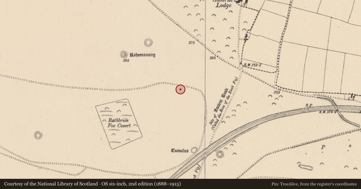 Ordnance Survey six-inch map, 2nd edition (1888–1915) covering the location of Barrow - ditch barrow, Curragh, County Kildare, with a pin at the register's coordinates