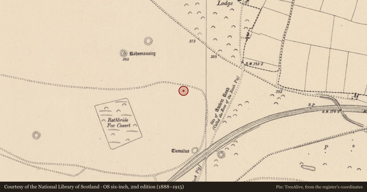 Ordnance Survey six-inch map, 2nd edition (1888–1915) covering the location of Barrow - ditch barrow, Curragh, County Kildare, with a pin at the register's coordinates