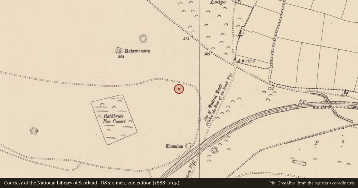Ordnance Survey six-inch map, 2nd edition (1888–1915) covering the location of Barrow - ditch barrow, Curragh, County Kildare, with a pin at the register's coordinates
