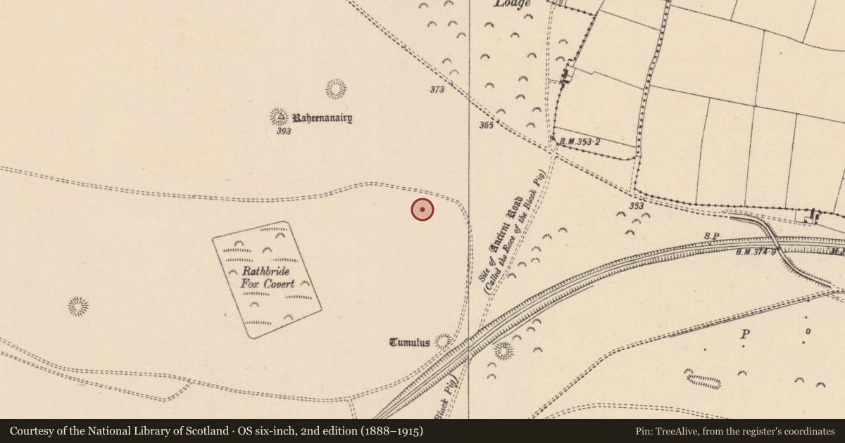 Ordnance Survey six-inch map, 2nd edition (1888–1915) covering the location of Barrow - ditch barrow, Curragh, County Kildare, with a pin at the register's coordinates