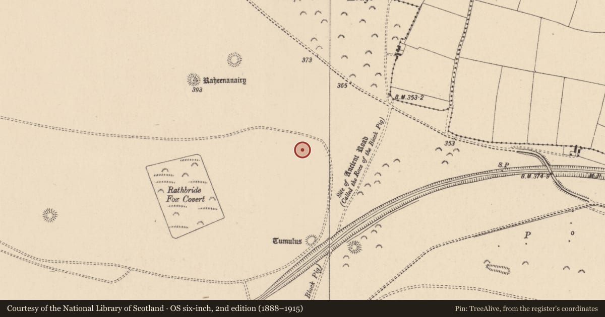 Ordnance Survey six-inch map, 2nd edition (1888–1915) covering the location of Barrow - ditch barrow, Curragh, County Kildare, with a pin at the register's coordinates