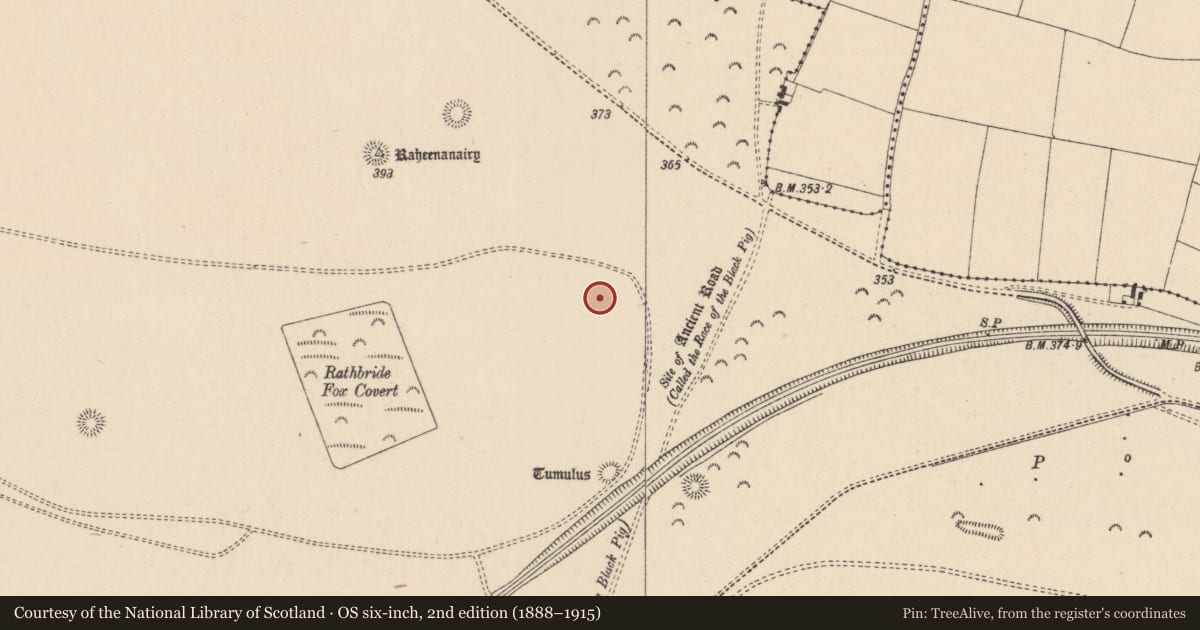 Ordnance Survey six-inch map, 2nd edition (1888–1915) covering the location of Barrow - ditch barrow, Curragh, County Kildare, with a pin at the register's coordinates