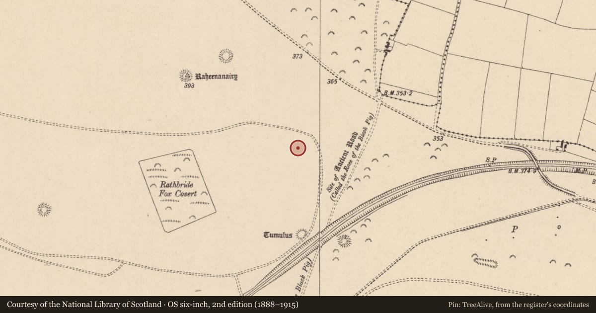 Ordnance Survey six-inch map, 2nd edition (1888–1915) covering the location of Barrow - ditch barrow, Curragh, County Kildare, with a pin at the register's coordinates