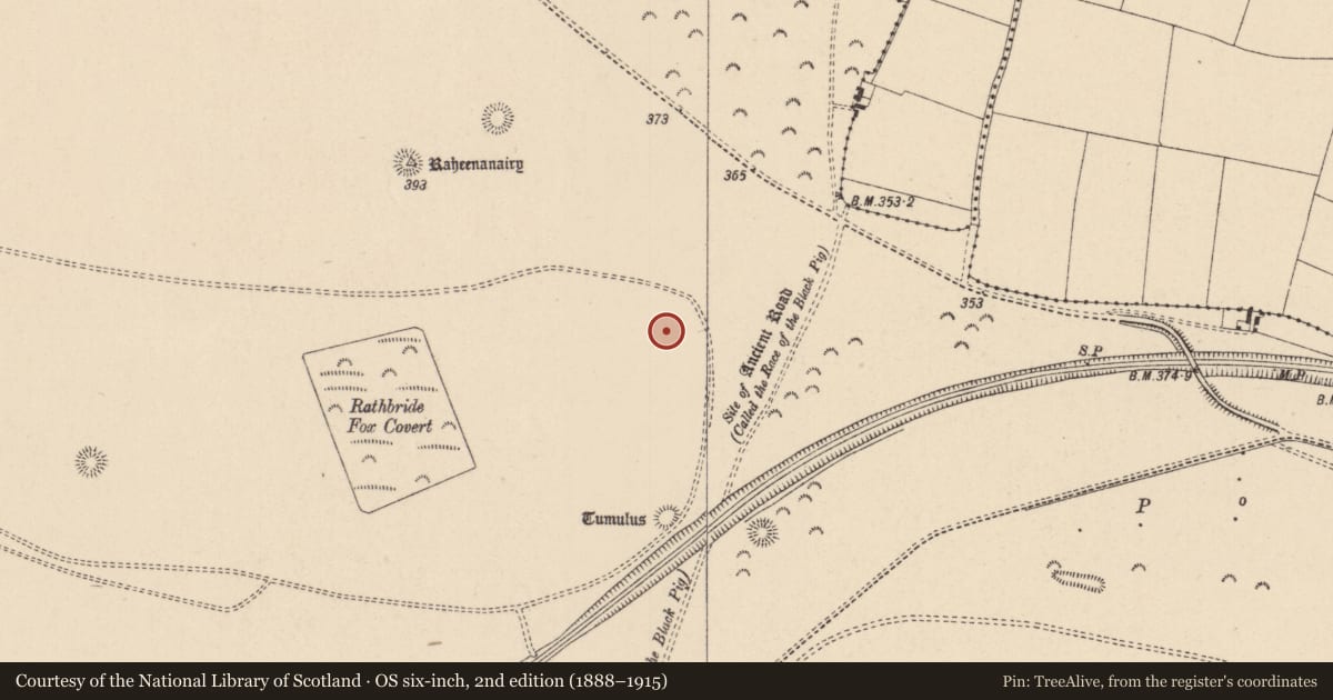 Ordnance Survey six-inch map, 2nd edition (1888–1915) covering the location of Barrow - ditch barrow, Curragh, County Kildare, with a pin at the register's coordinates