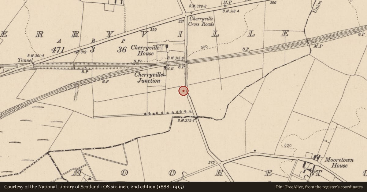 Ordnance Survey six-inch map, 2nd edition (1888–1915) covering the location of Excavation - miscellaneous, Cherryville, County Kildare, with a pin at the register's coordinates