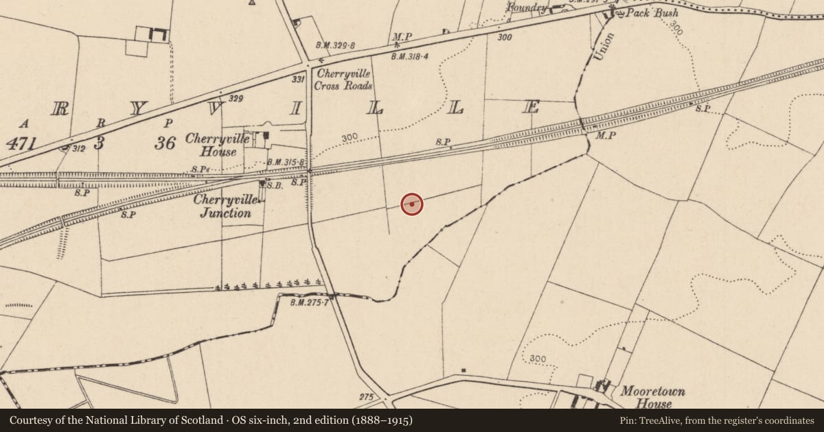 Ordnance Survey six-inch map, 2nd edition (1888–1915) covering the location of Burnt mound, Cherryville, County Kildare, with a pin at the register's coordinates