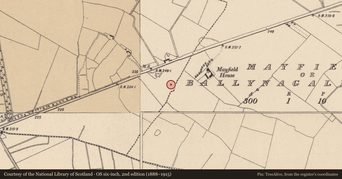 Ordnance Survey six-inch map, 2nd edition (1888–1915) covering the location of Fulacht fia, Hybla Or Ballyneage, County Kildare, with a pin at the register's coordinates