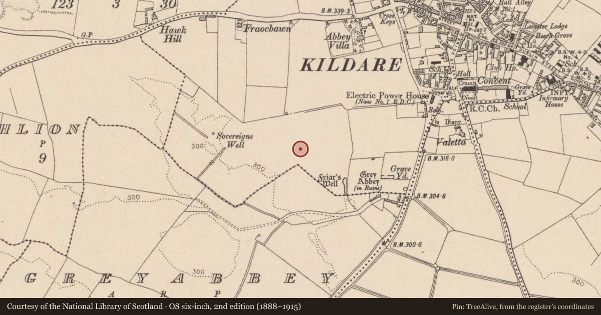 Ordnance Survey six-inch map, 2nd edition (1888–1915) covering the location of Fulacht fia, Kildare, with a pin at the register's coordinates
