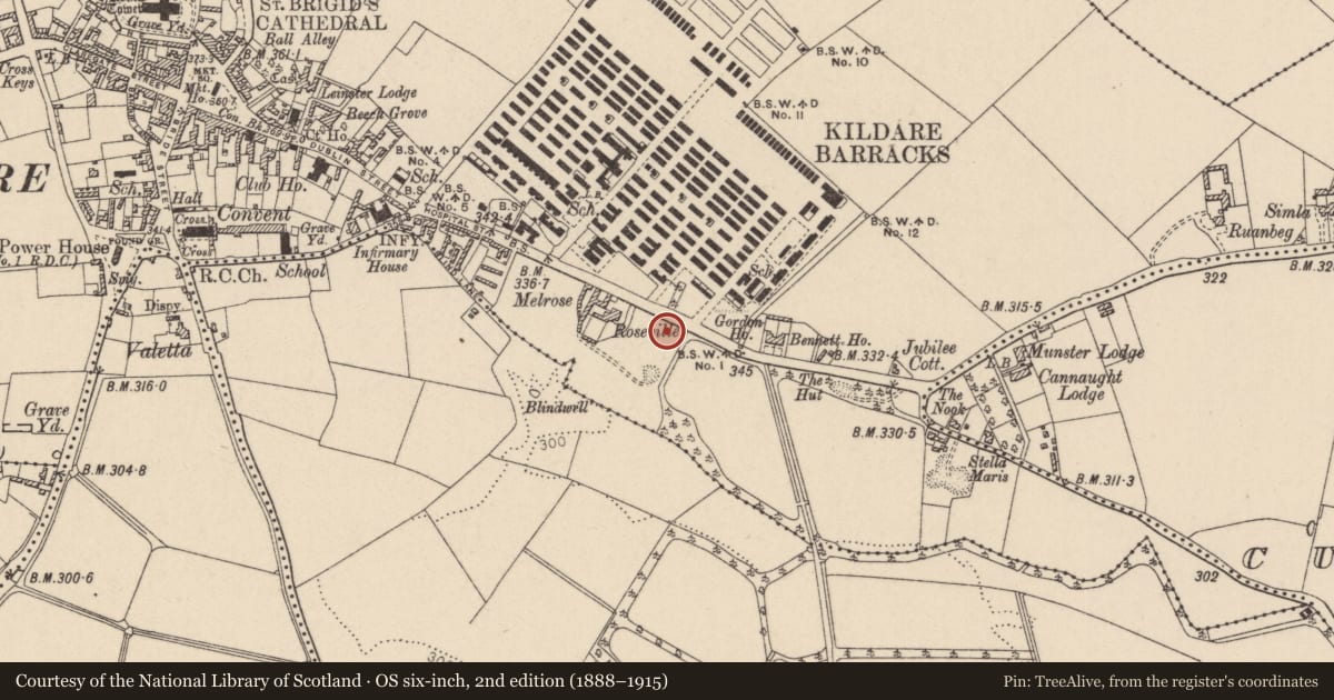 Ordnance Survey six-inch map, 2nd edition (1888–1915) covering the location of Burial ground, Kildare, with a pin at the register's coordinates