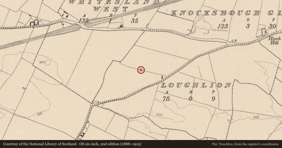 Ordnance Survey six-inch map, 2nd edition (1888–1915) covering the location of Enclosure, Knockshough Glebe, County Kildare, with a pin at the register's coordinates