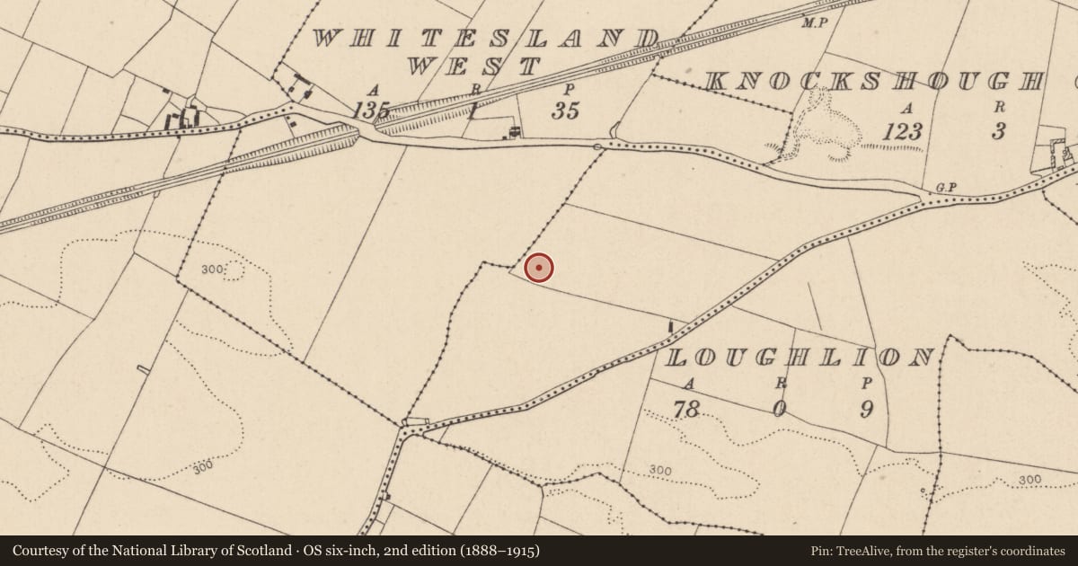 Ordnance Survey six-inch map, 2nd edition (1888–1915) covering the location of Enclosure, Knockshough Glebe, County Kildare, with a pin at the register's coordinates