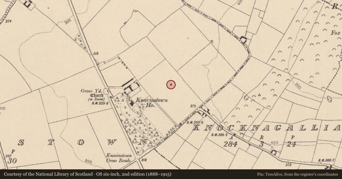 Ordnance Survey six-inch map, 2nd edition (1888–1915) covering the location of Enclosure, Knavinstown, County Kildare, with a pin at the register's coordinates