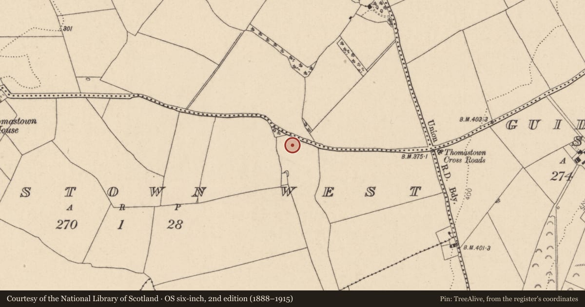 Ordnance Survey six-inch map, 2nd edition (1888–1915) covering the location of Enclosure - large enclosure, Thomastown West, County Kildare, with a pin at the register's coordinates