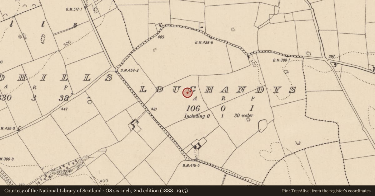 Ordnance Survey six-inch map, 2nd edition (1888–1915) covering the location of Enclosure, Loughandys, County Kildare, with a pin at the register's coordinates
