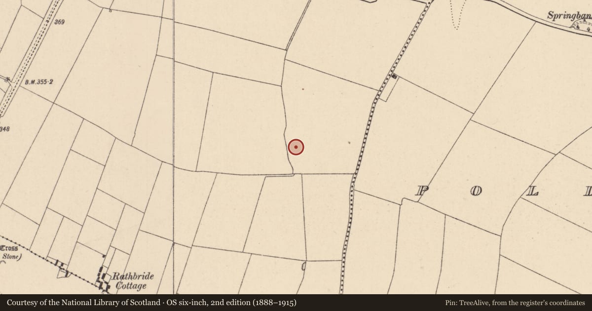 Ordnance Survey six-inch map, 2nd edition (1888–1915) covering the location of Enclosure, Rathbride, County Kildare, with a pin at the register's coordinates