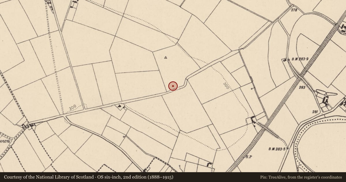 Ordnance Survey six-inch map, 2nd edition (1888–1915) covering the location of Castle - unclassified, Rosberry, County Kildare, with a pin at the register's coordinates
