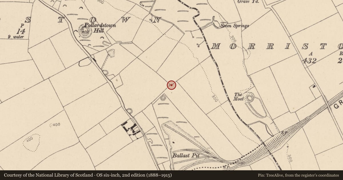 Ordnance Survey six-inch map, 2nd edition (1888–1915) covering the location of Ringfort - rath, Pollardstown, County Kildare, with a pin at the register's coordinates