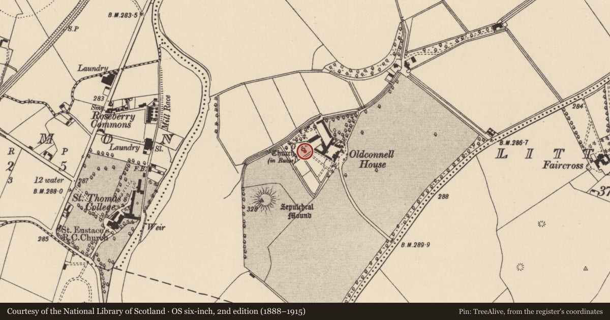 Ordnance Survey six-inch map, 2nd edition (1888–1915) covering the location of Graveyard, Oldconnell, County Kildare, with a pin at the register's coordinates