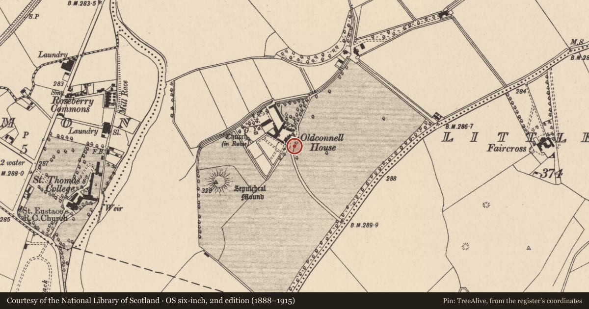Ordnance Survey six-inch map, 2nd edition (1888–1915) covering the location of Font, Oldconnell, County Kildare, with a pin at the register's coordinates