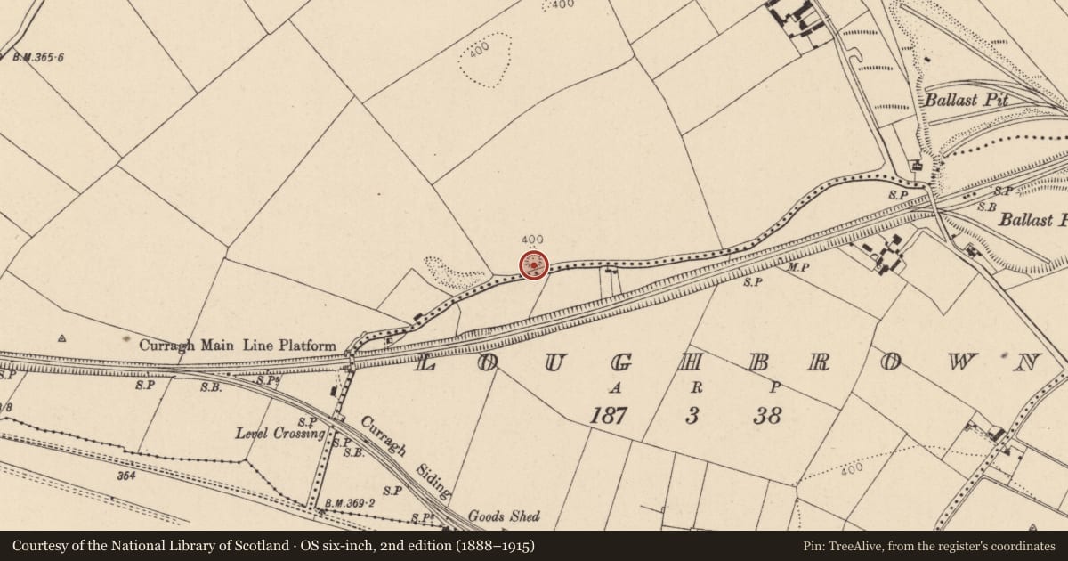 Ordnance Survey six-inch map, 2nd edition (1888–1915) covering the location of Mound, Pollardstown, County Kildare, with a pin at the register's coordinates