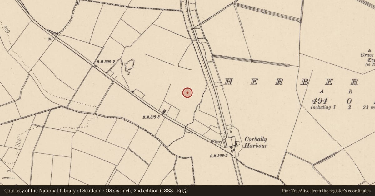 Ordnance Survey six-inch map, 2nd edition (1888–1915) covering the location of Standing stone, Greatconnell, County Kildare, with a pin at the register's coordinates