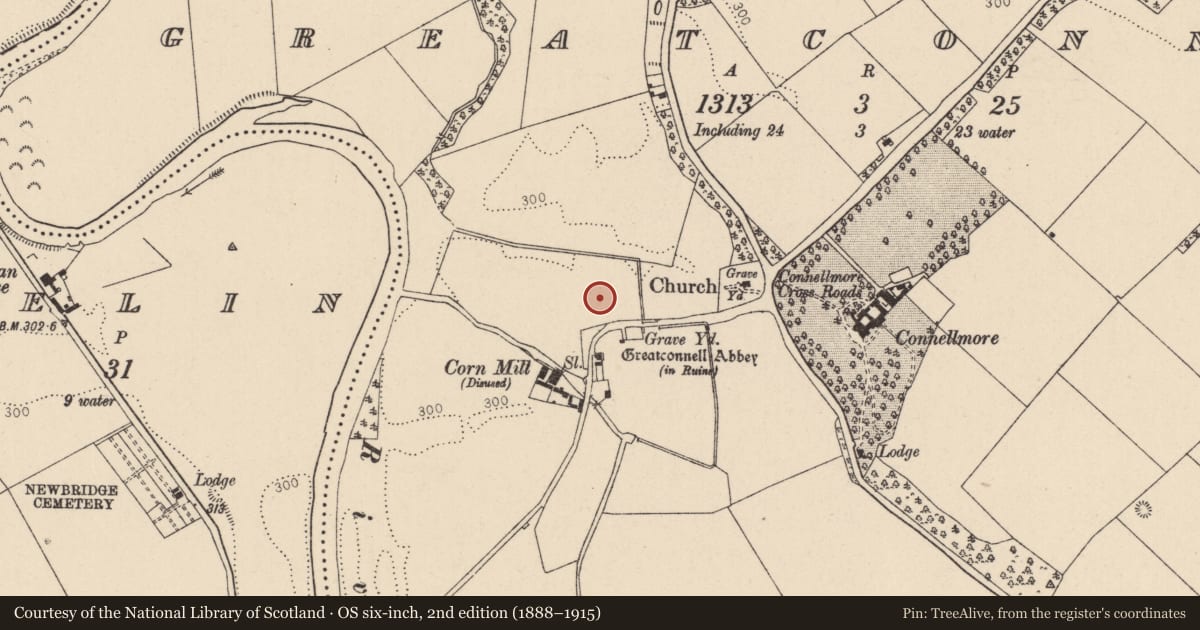 Ordnance Survey six-inch map, 2nd edition (1888–1915) covering the location of Settlement deserted - medieval, Greatconnell, County Kildare, with a pin at the register's coordinates