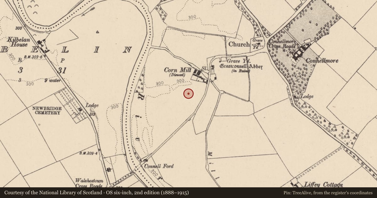 Ordnance Survey six-inch map, 2nd edition (1888–1915) covering the location of Town defences, Greatconnell, County Kildare, with a pin at the register's coordinates