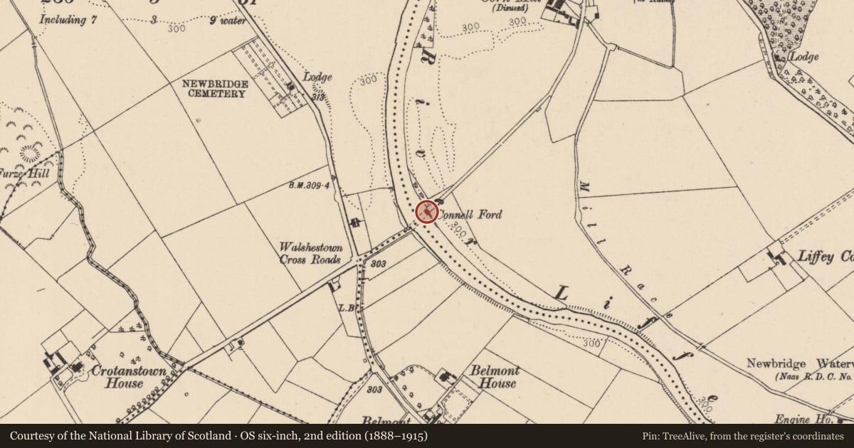 Ordnance Survey six-inch map, 2nd edition (1888–1915) covering the location of Ford, Greatconnell, County Kildare, with a pin at the register's coordinates