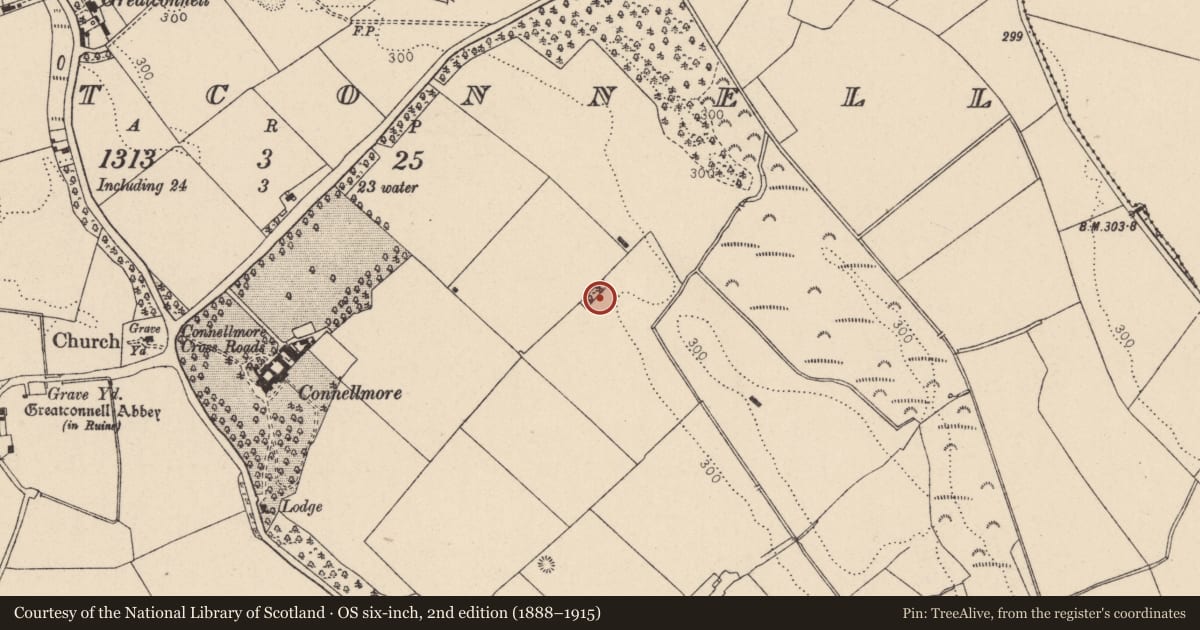 Ordnance Survey six-inch map, 2nd edition (1888–1915) covering the location of Ritual site - holy well, Greatconnell, County Kildare, with a pin at the register's coordinates