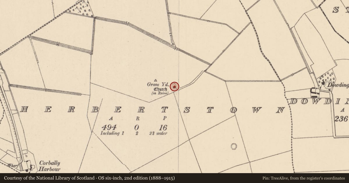 Ordnance Survey six-inch map, 2nd edition (1888–1915) covering the location of Font, Herbertstown, County Kildare, with a pin at the register's coordinates