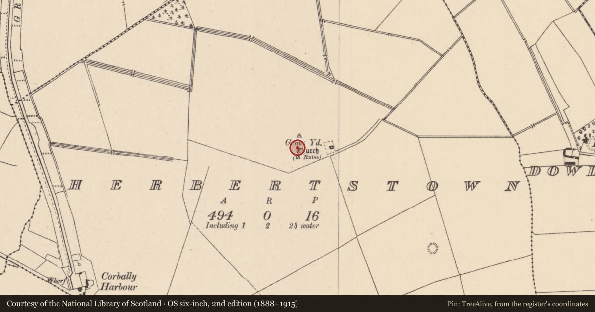 Ordnance Survey six-inch map, 2nd edition (1888–1915) covering the location of Castle - unclassified, Herbertstown, County Kildare, with a pin at the register's coordinates