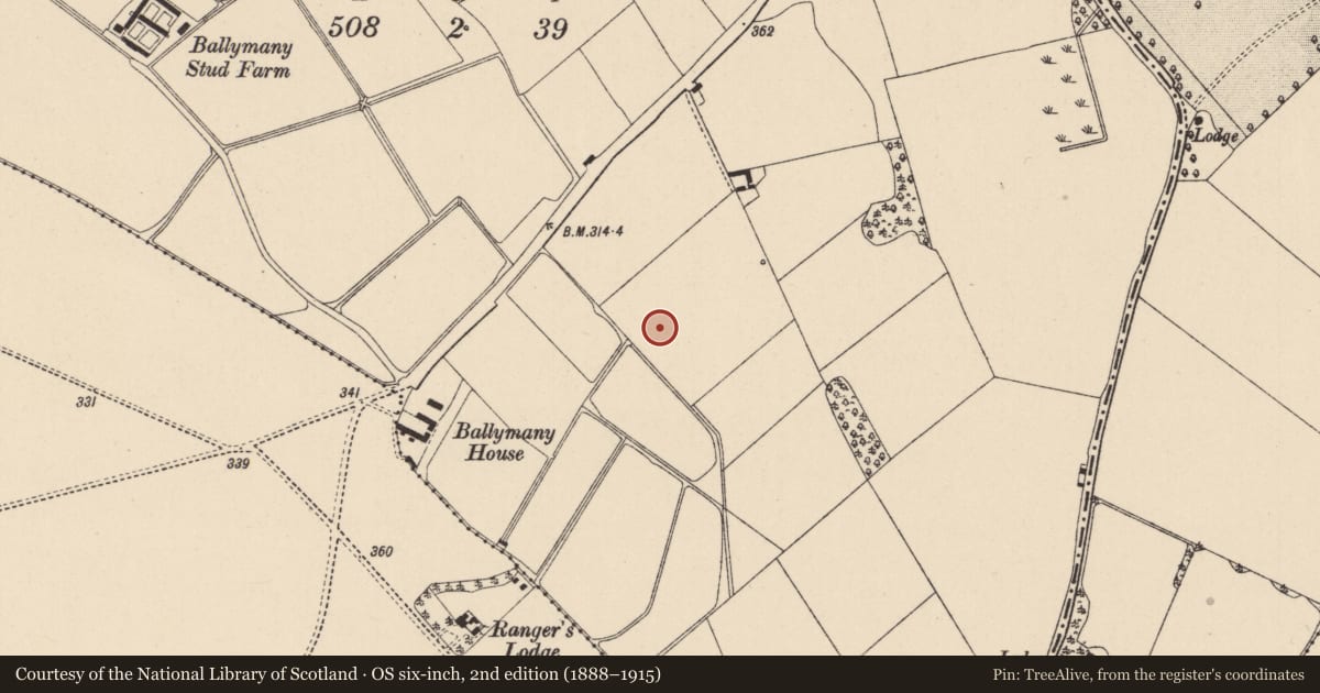 Ordnance Survey six-inch map, 2nd edition (1888–1915) covering the location of Mound, Ballymany, County Kildare, with a pin at the register's coordinates