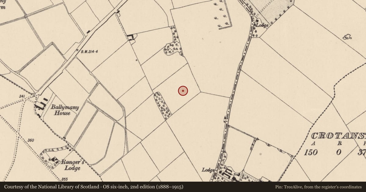 Ordnance Survey six-inch map, 2nd edition (1888–1915) covering the location of Church, Ballymany, County Kildare, with a pin at the register's coordinates