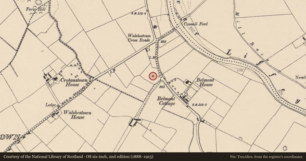 Ordnance Survey six-inch map, 2nd edition (1888–1915) covering the location of Burial, Kilbelin, County Kildare, with a pin at the register's coordinates