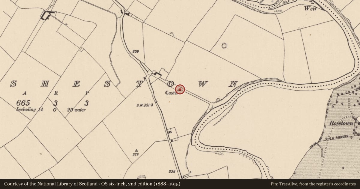 Ordnance Survey six-inch map, 2nd edition (1888–1915) covering the location of Castle - unclassified, Walshestown, County Kildare, with a pin at the register's coordinates
