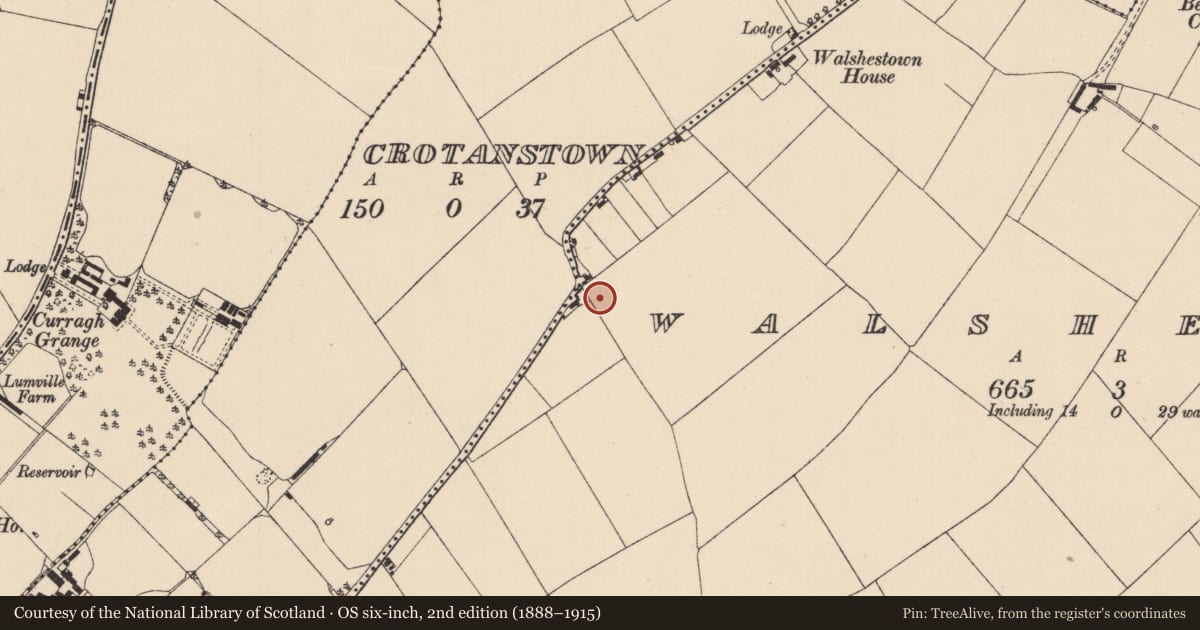 Ordnance Survey six-inch map, 2nd edition (1888–1915) covering the location of Mound, Walshestown, County Kildare, with a pin at the register's coordinates