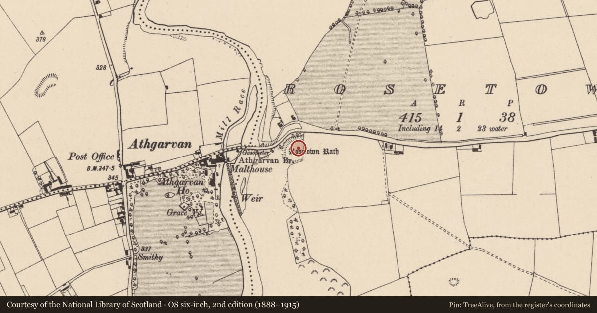 Ordnance Survey six-inch map, 2nd edition (1888–1915) covering the location of Ringfort - rath, Rosetown, County Kildare, with a pin at the register's coordinates