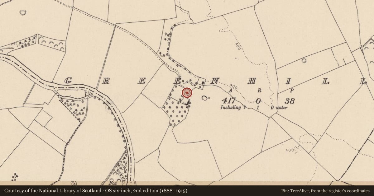 Ordnance Survey six-inch map, 2nd edition (1888–1915) covering the location of Castle - unclassified, Greenhills, County Kildare, with a pin at the register's coordinates