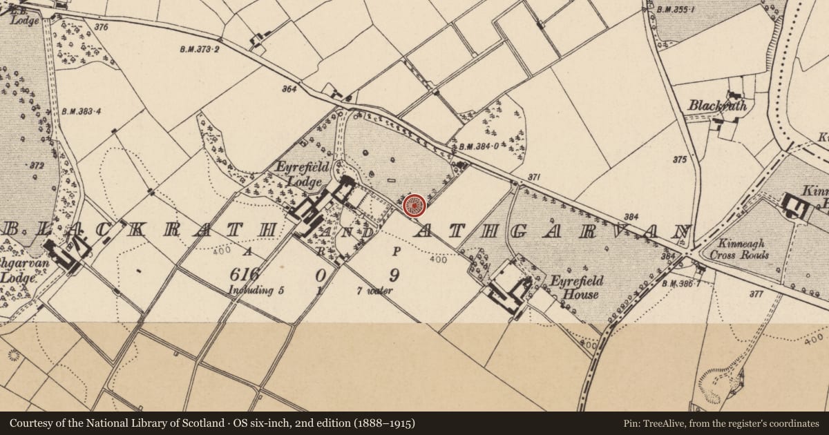 Ordnance Survey six-inch map, 2nd edition (1888–1915) covering the location of Ringfort - rath, Blackrath And Athgarvan, County Kildare, with a pin at the register's coordinates