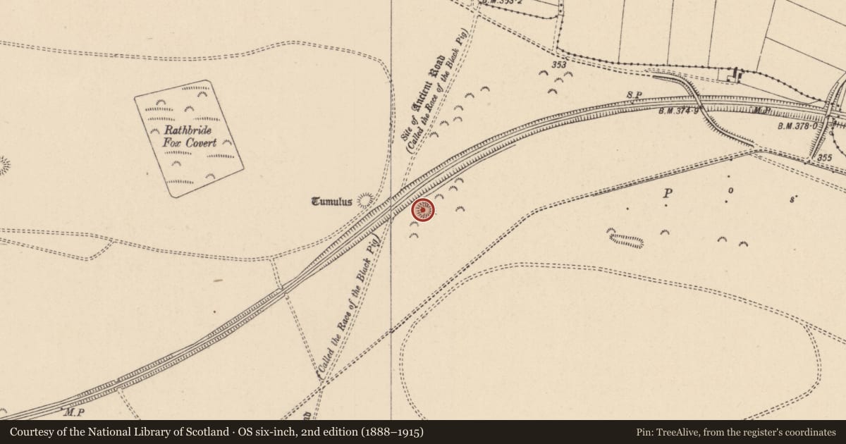 Ordnance Survey six-inch map, 2nd edition (1888–1915) covering the location of Ring-ditch, Curragh, County Kildare, with a pin at the register's coordinates