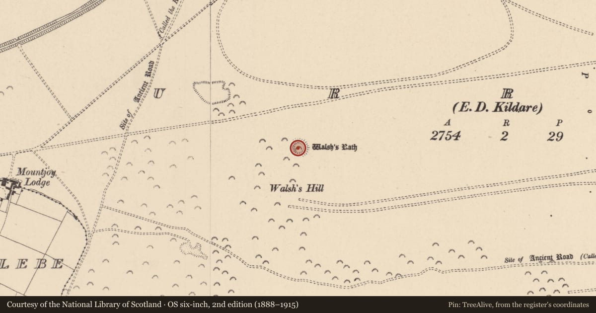 Ordnance Survey six-inch map, 2nd edition (1888–1915) covering the location of Barrow - ring-barrow, Curragh, County Kildare, with a pin at the register's coordinates