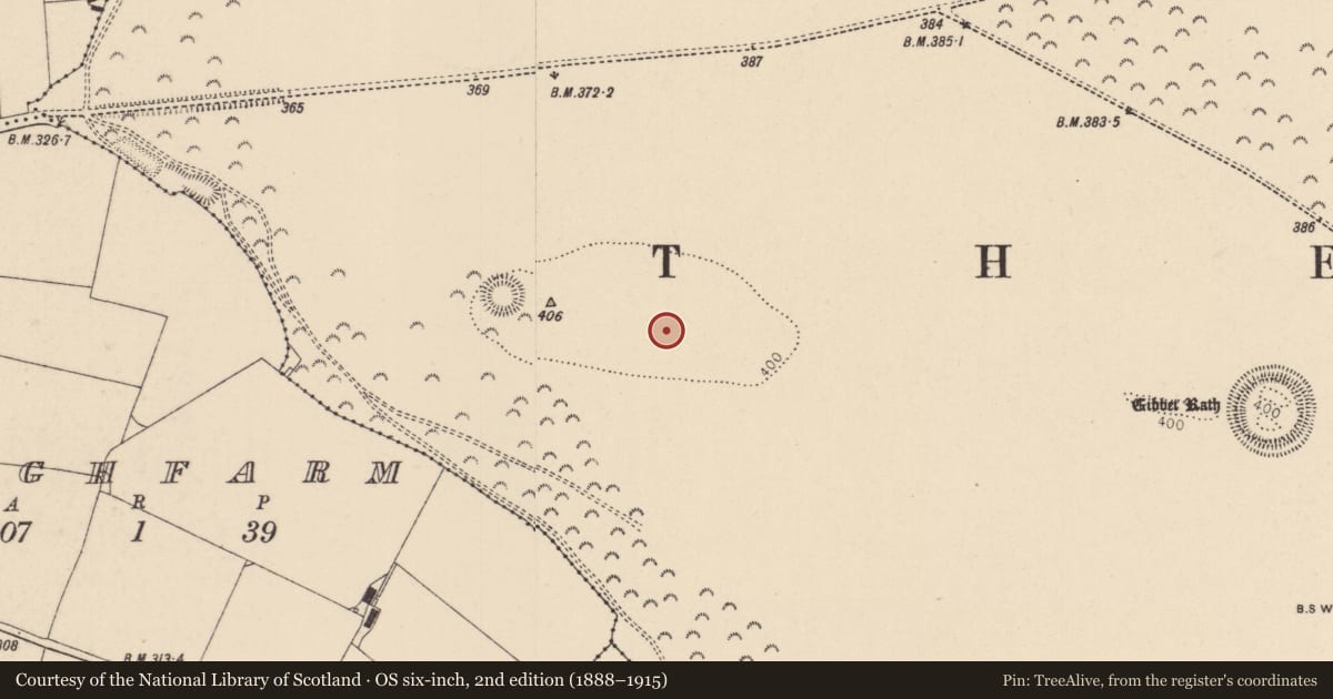 Ordnance Survey six-inch map, 2nd edition (1888–1915) covering the location of Barrow - ring-barrow, Curragh, County Kildare, with a pin at the register's coordinates