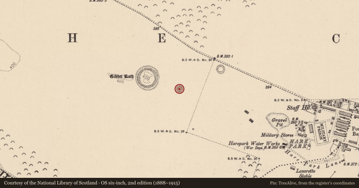 Ordnance Survey six-inch map, 2nd edition (1888–1915) covering the location of Barrow - ring-barrow, Curragh, County Kildare, with a pin at the register's coordinates