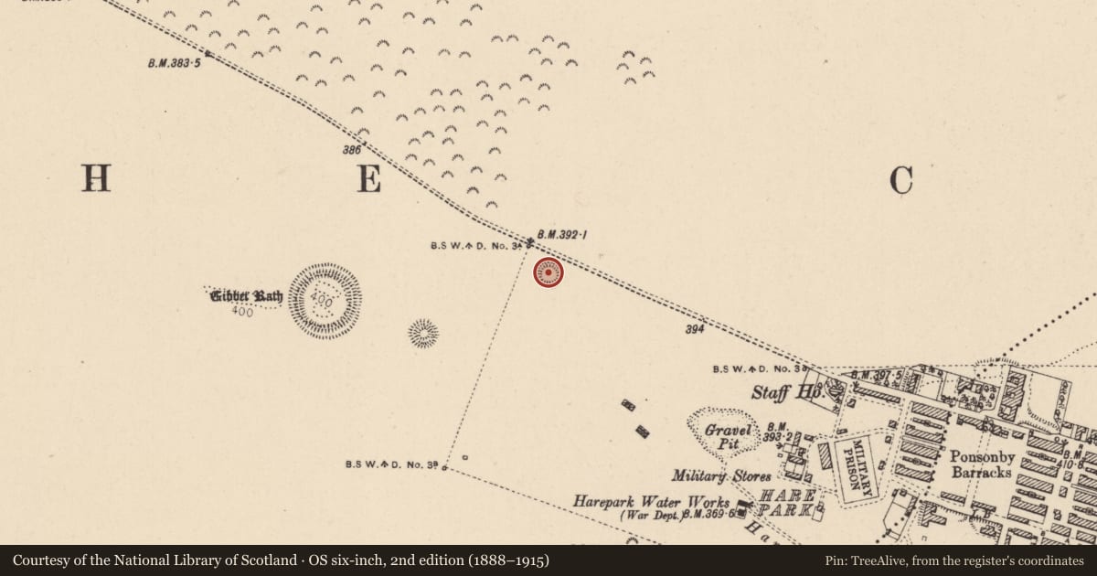 Ordnance Survey six-inch map, 2nd edition (1888–1915) covering the location of Barrow - ring-barrow, Curragh, County Kildare, with a pin at the register's coordinates