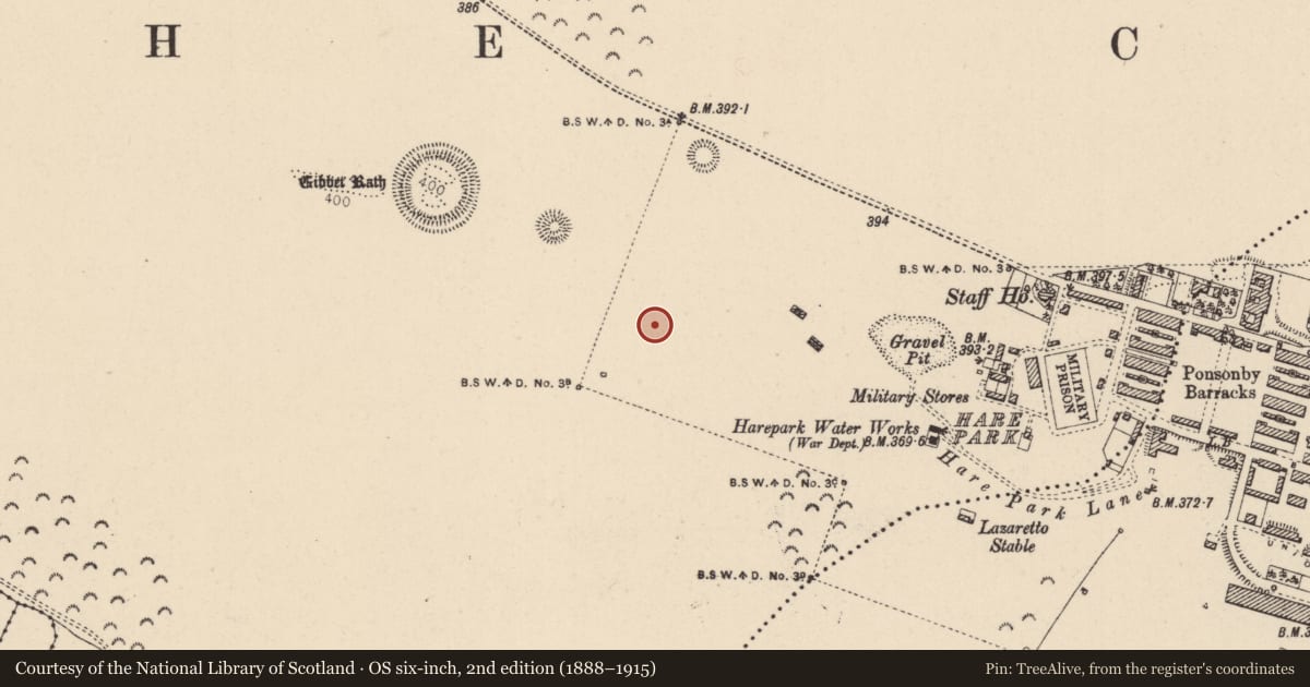 Ordnance Survey six-inch map, 2nd edition (1888–1915) covering the location of Enclosure, Curragh, County Kildare, with a pin at the register's coordinates