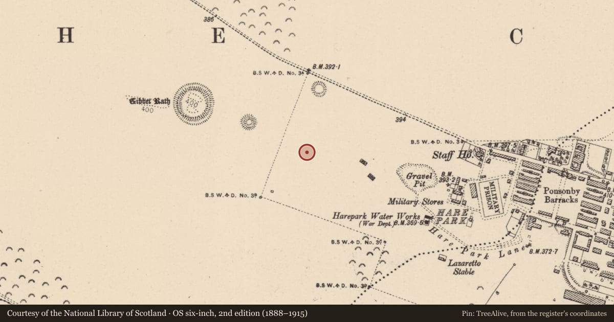 Ordnance Survey six-inch map, 2nd edition (1888–1915) covering the location of Enclosure, Curragh, County Kildare, with a pin at the register's coordinates