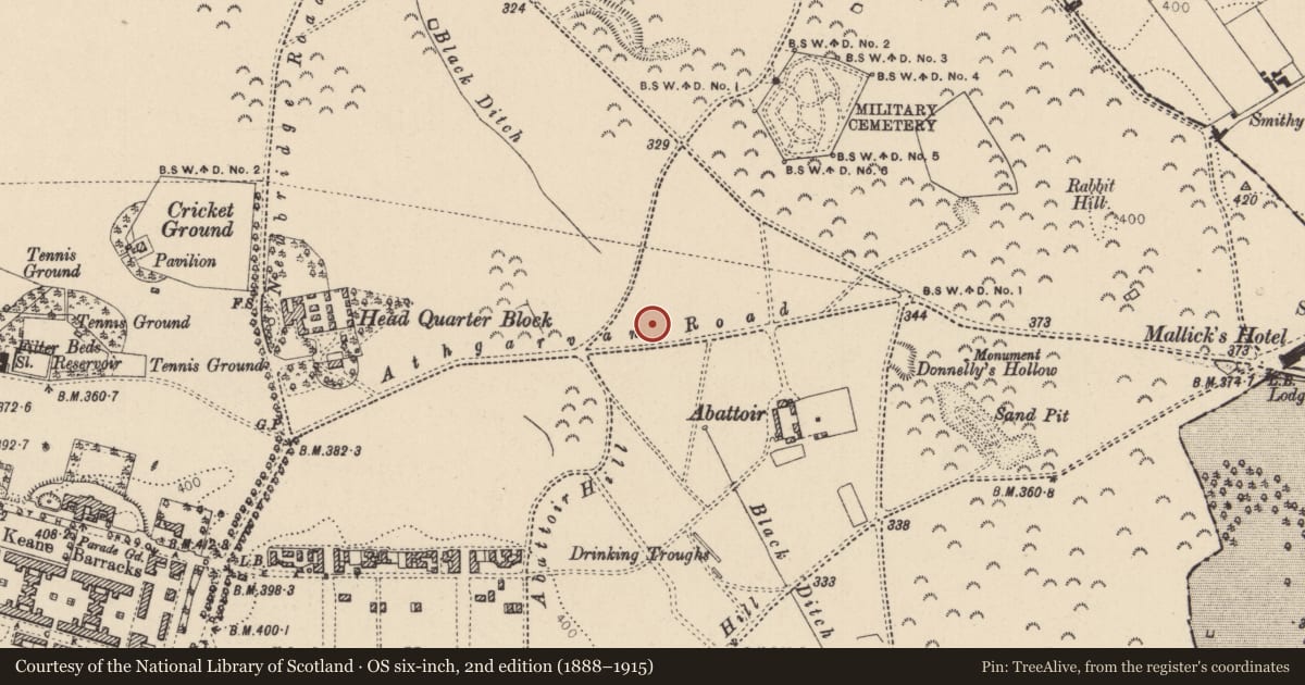 Ordnance Survey six-inch map, 2nd edition (1888–1915) covering the location of Linear earthwork, Curragh, County Kildare, with a pin at the register's coordinates