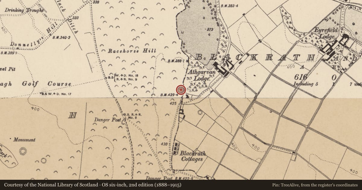 Ordnance Survey six-inch map, 2nd edition (1888–1915) covering the location of Barrow - ring-barrow, Curragh, County Kildare, with a pin at the register's coordinates
