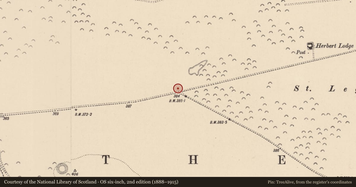 Ordnance Survey six-inch map, 2nd edition (1888–1915) covering the location of Mound, Curragh, County Kildare, with a pin at the register's coordinates